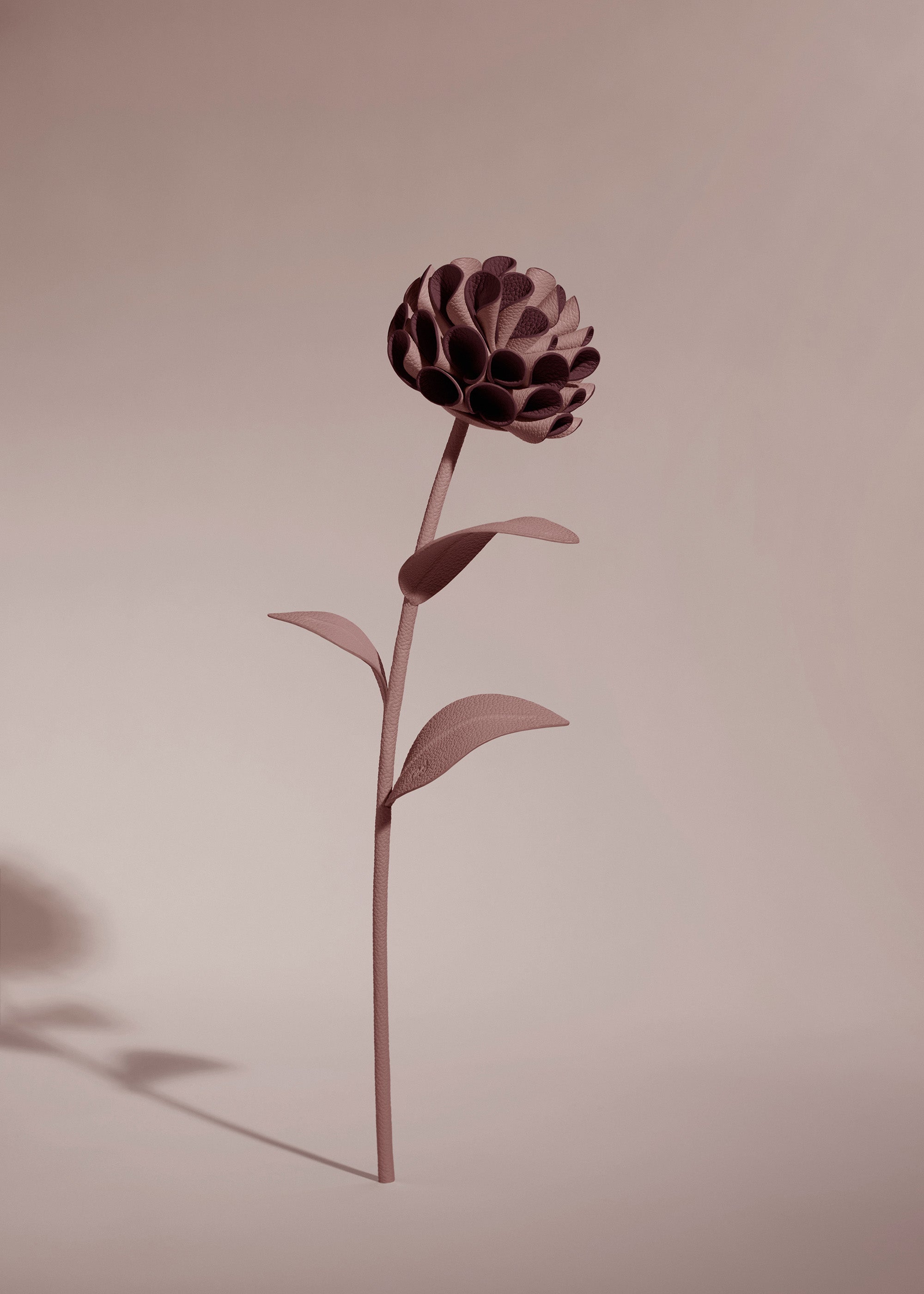 Dalium Flower - Duo Lilac