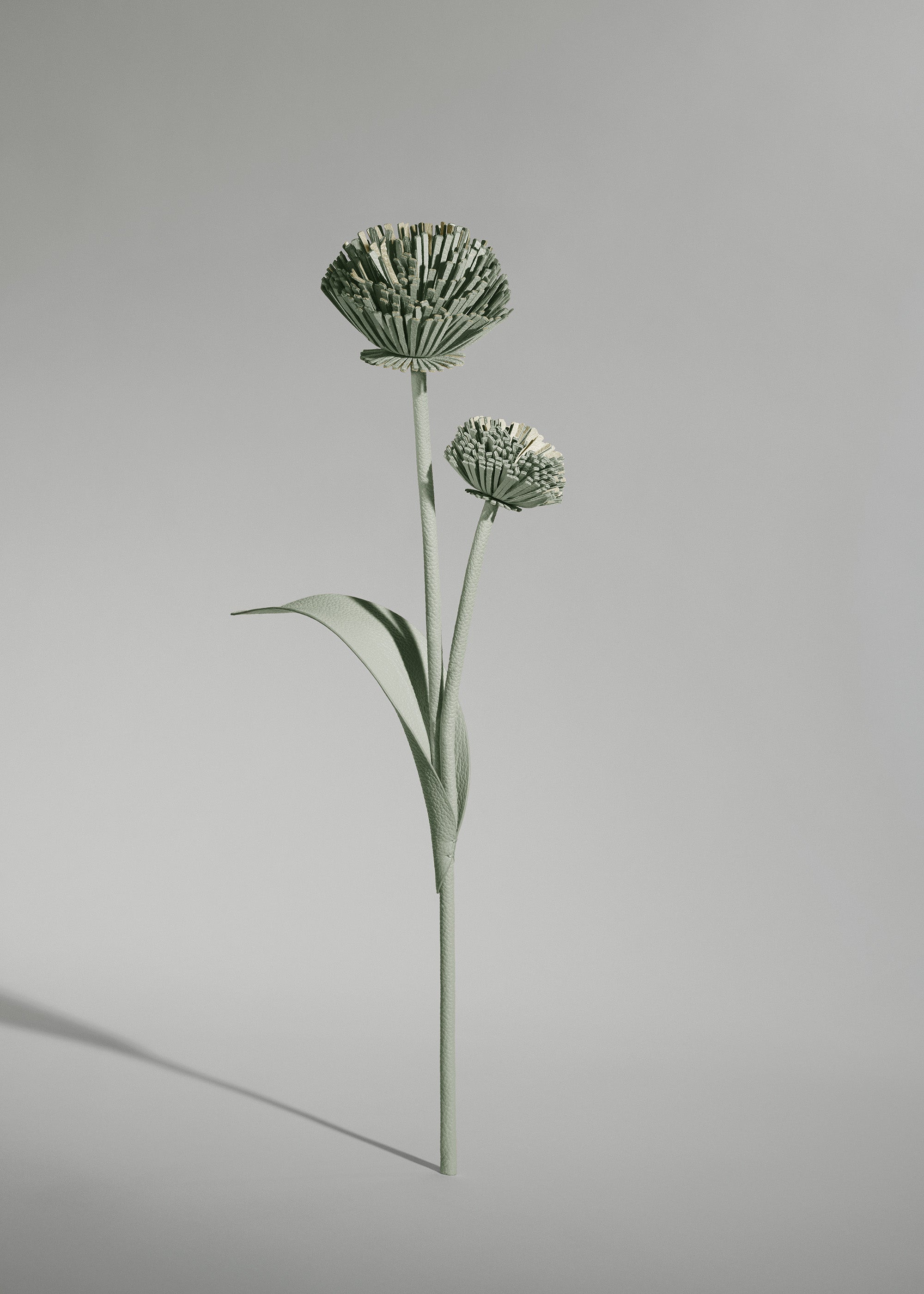 Tul Flower - Duo Fresh Almond