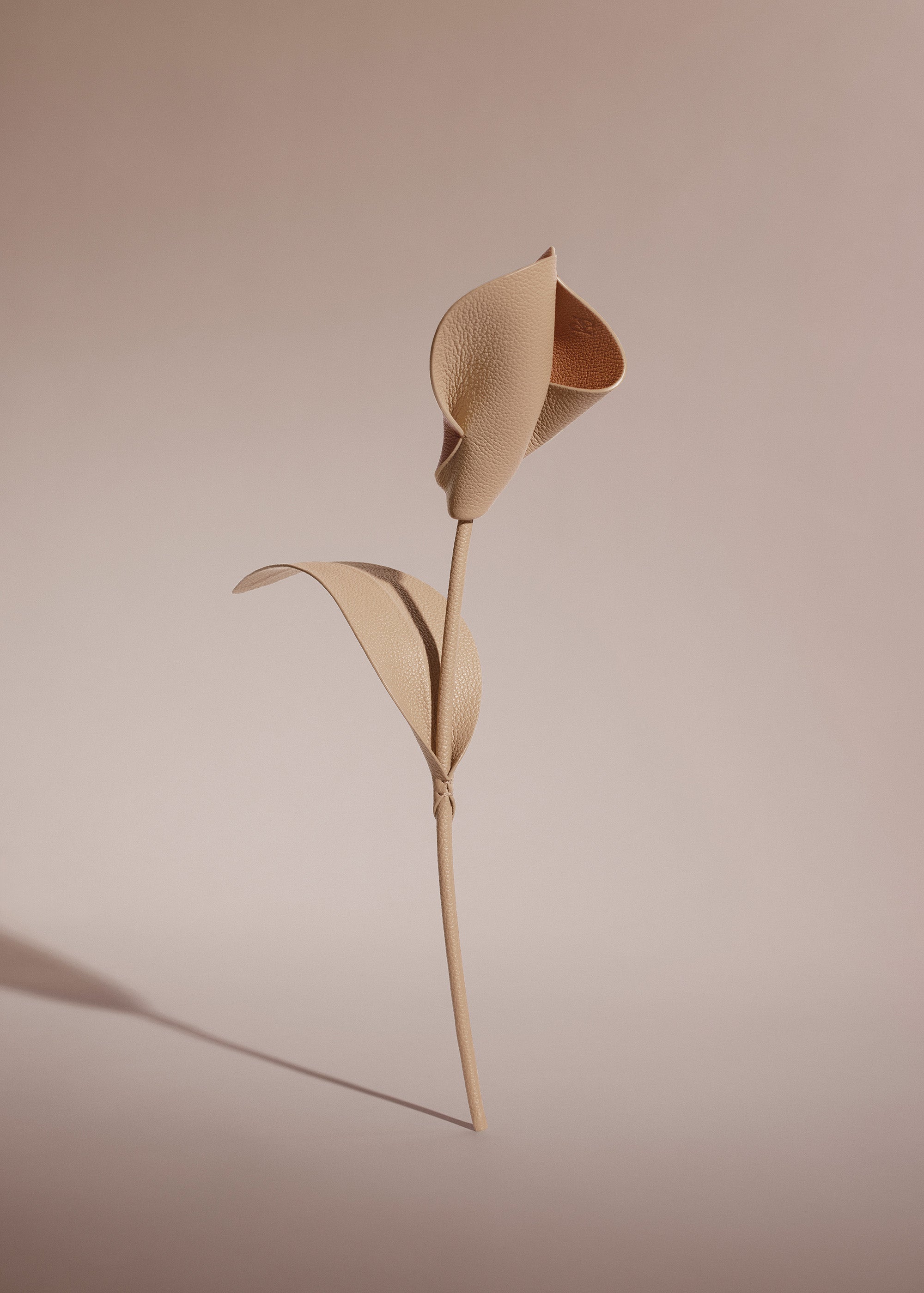 Pili Flower - Duo Beige