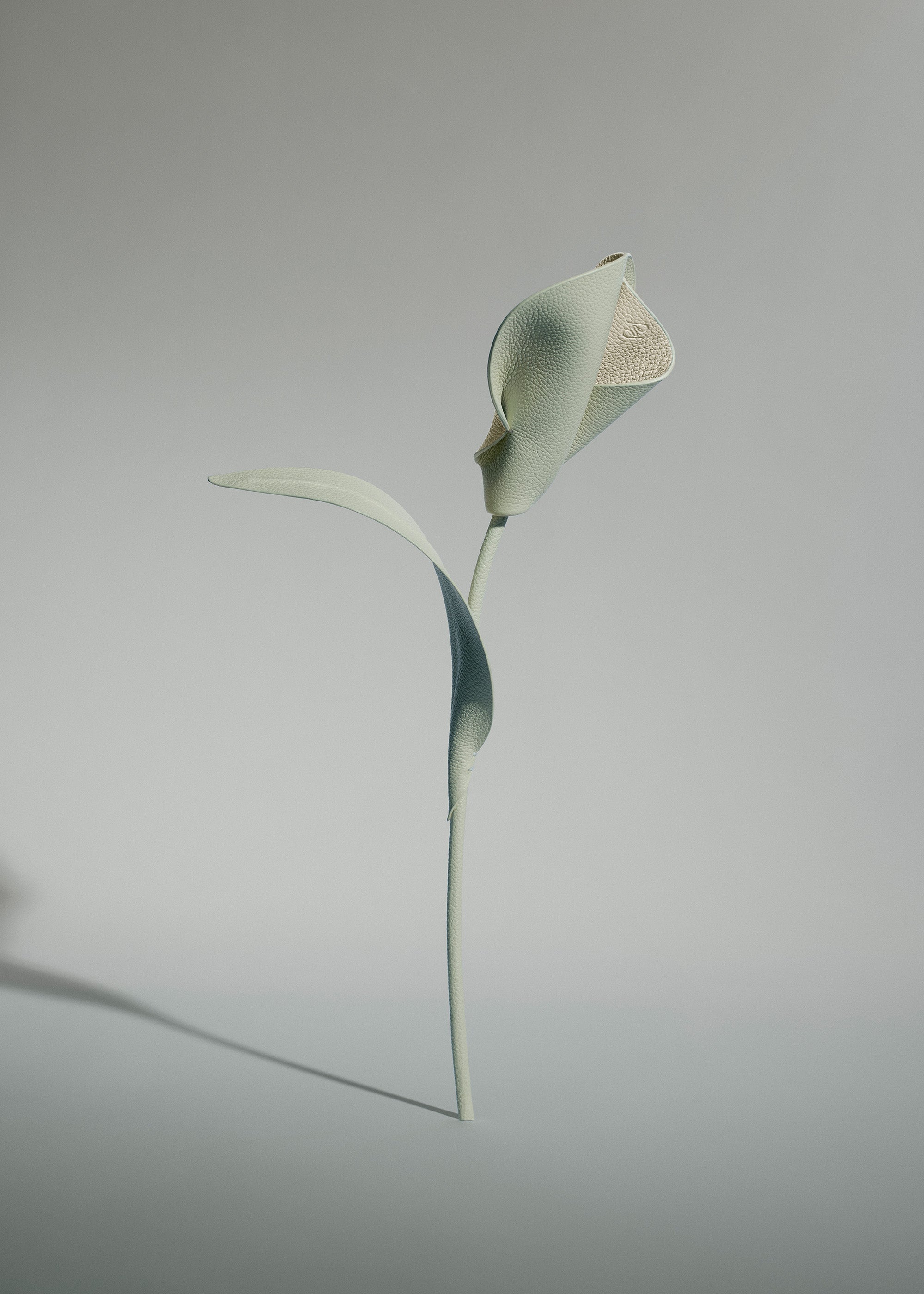 Pili Flower - Duo Fresh Almond